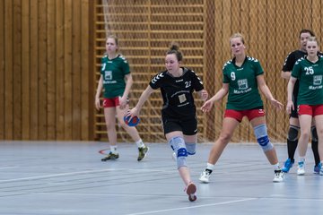 Bild 249 - Damen HSG Kremperheide/M�nsterdorf - Suchsdorfer SV : Ergebnis: 39:22